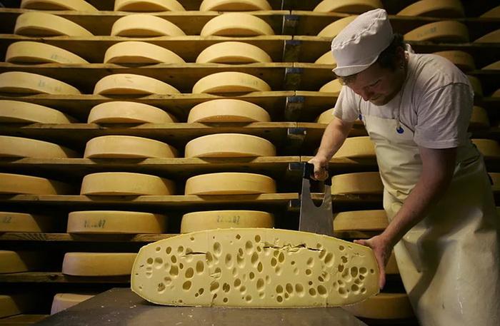производство сыра как бизнес