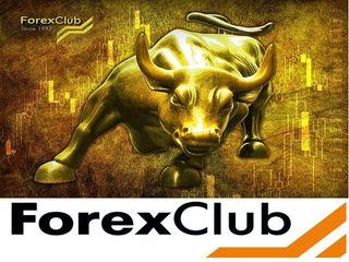 forex club инвестиции